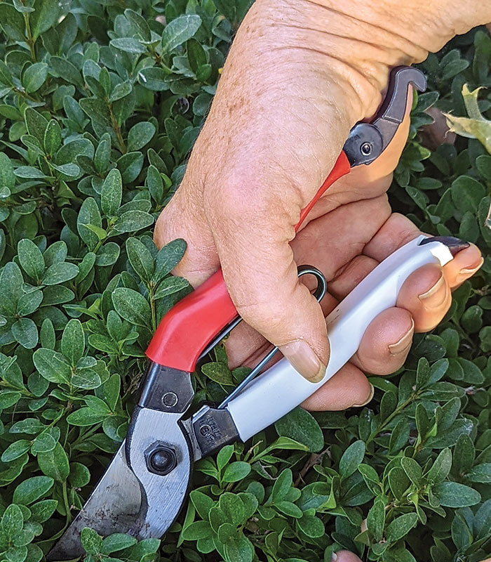 Battery operated deals hand garden shears