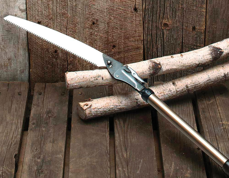 Essential Tools for Pruning - FineGardening