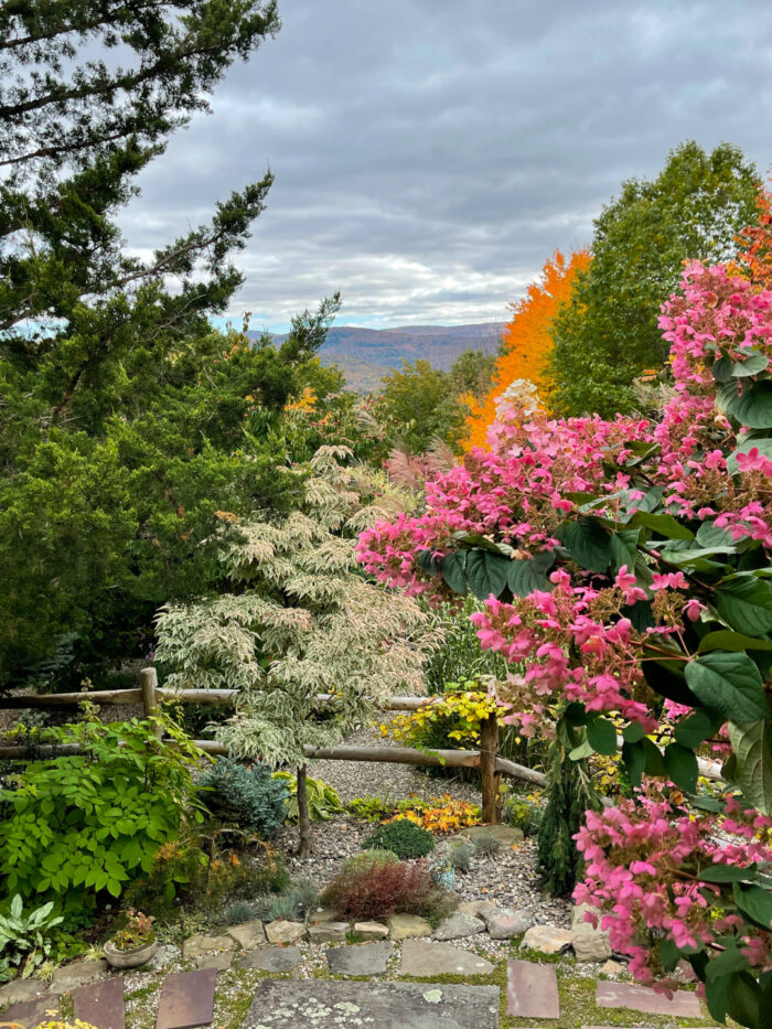 rustic cabin garden