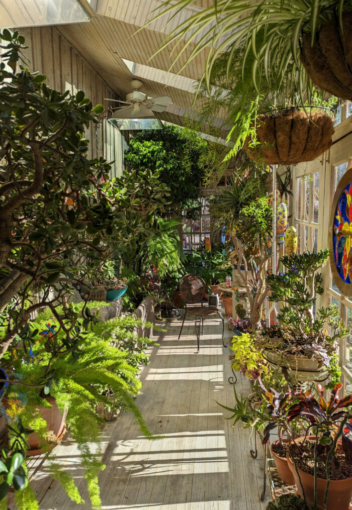 sun shining into sunroom full of plants