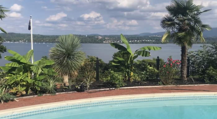 various palm trees around a pool that overlooks a river