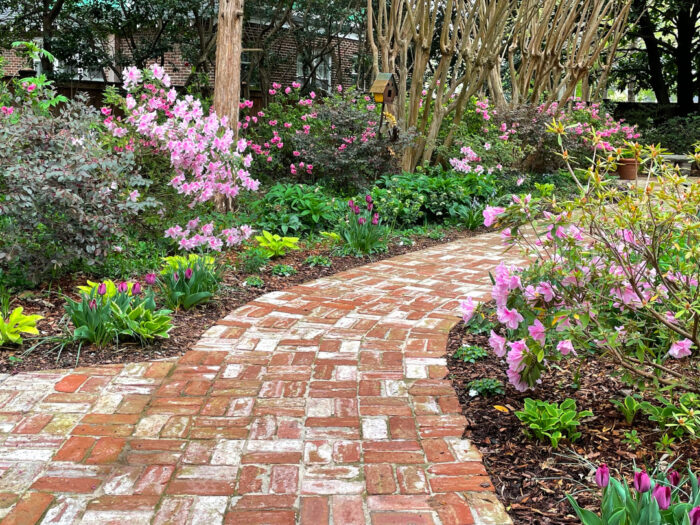 spring plants and bulbs on both sides of a brick path