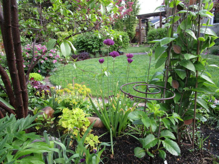 close up of small garden bed during its peak in summer