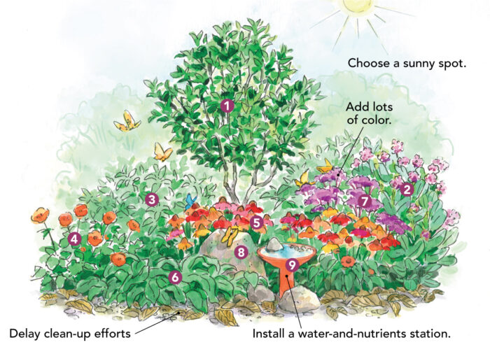 elements of a butterfly garden