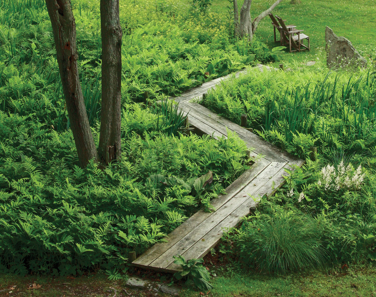 10 Tips for Picture-Perfect Garden Pathways - FineGardening