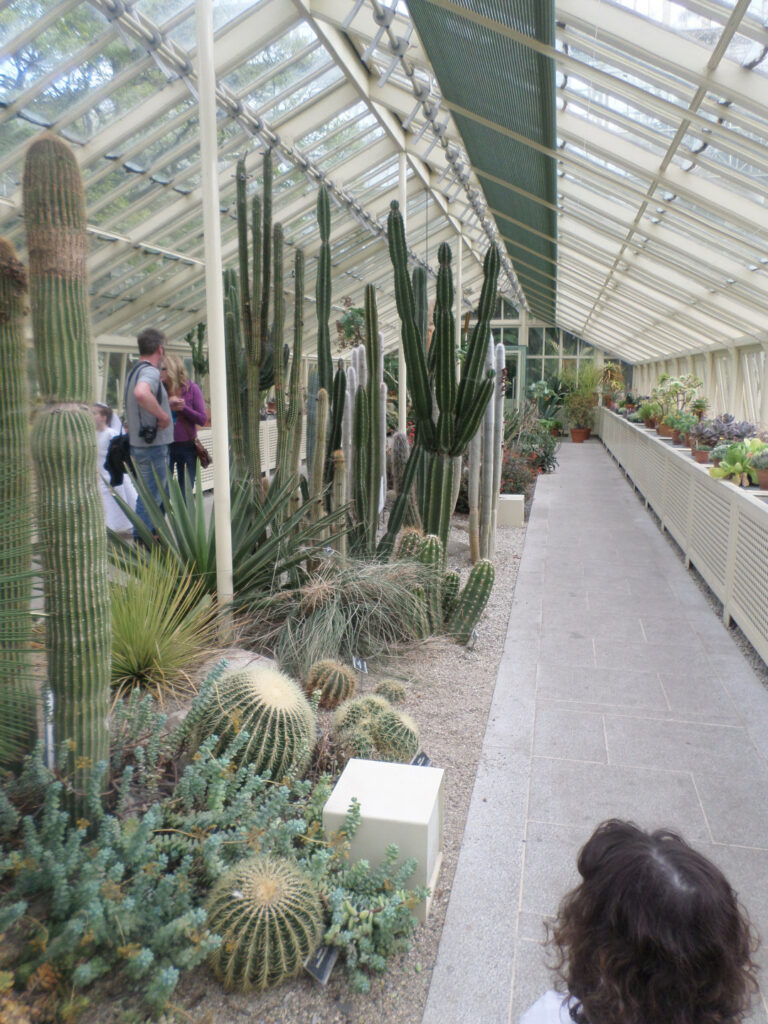 GPOD on the Road: The National Botanic Gardens of Ireland - Fine Gardening
