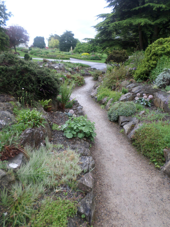 path cutting through Irish rock garden