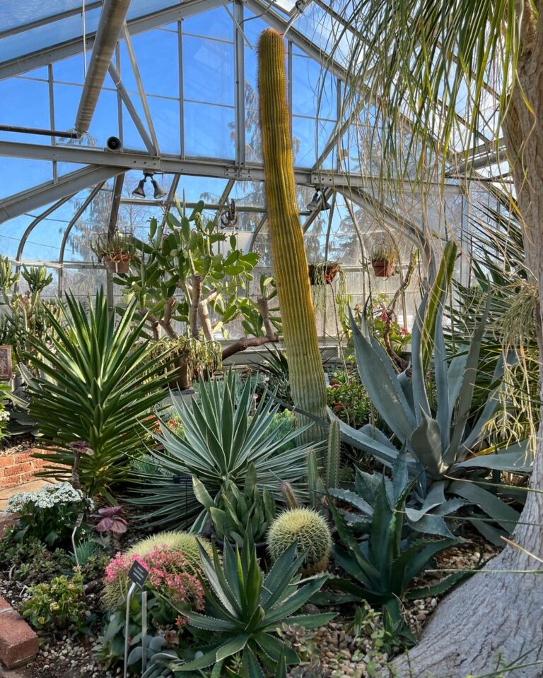 The Arid Greenhouse At The Centennial Park Conservatory Fine Gardening 