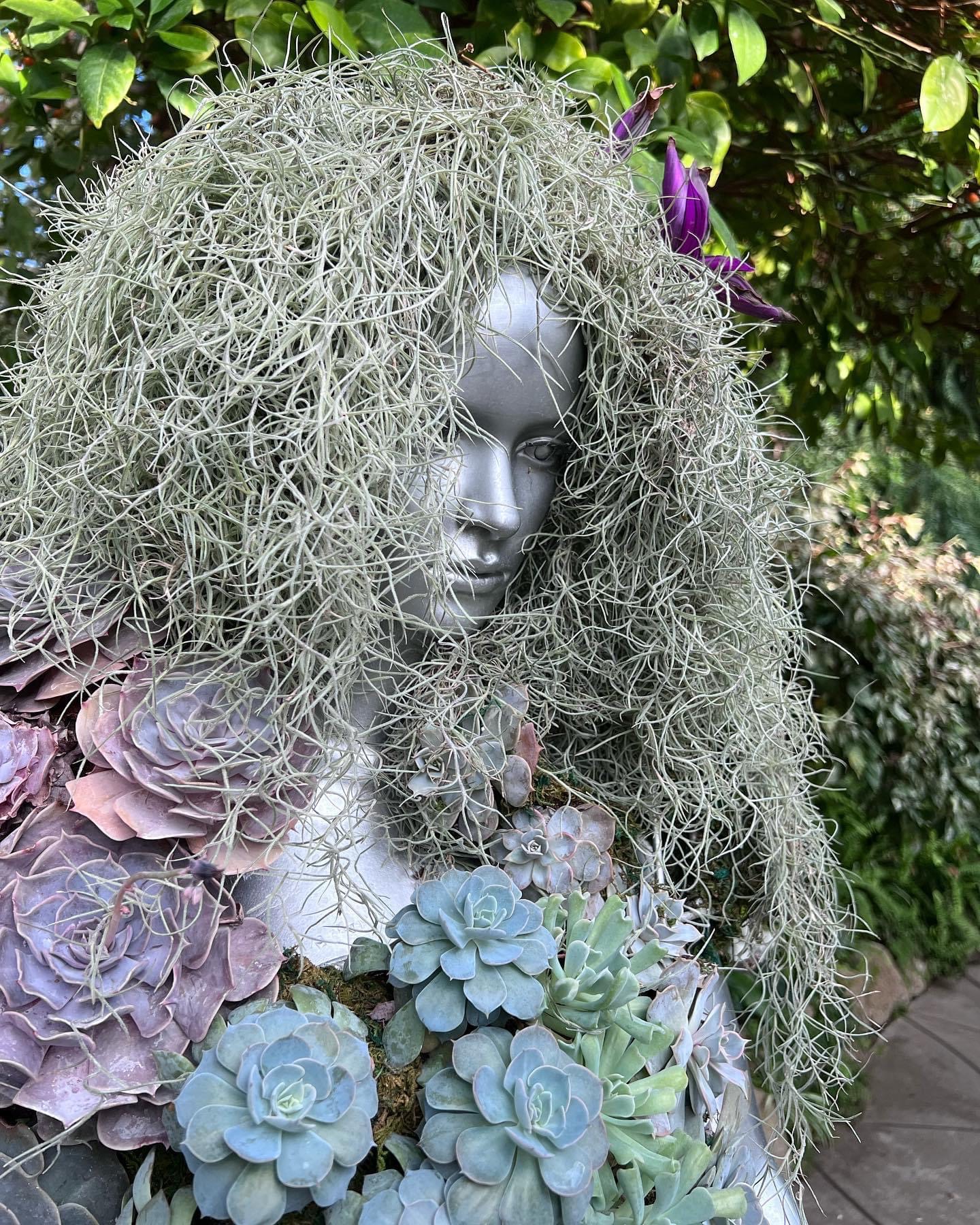 mannequin covered in succulents