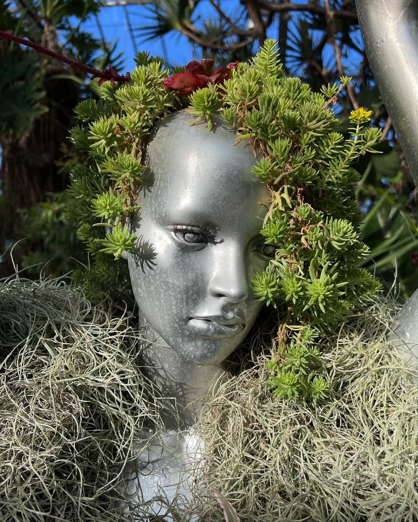 close up of sculpture with succulents and air plants