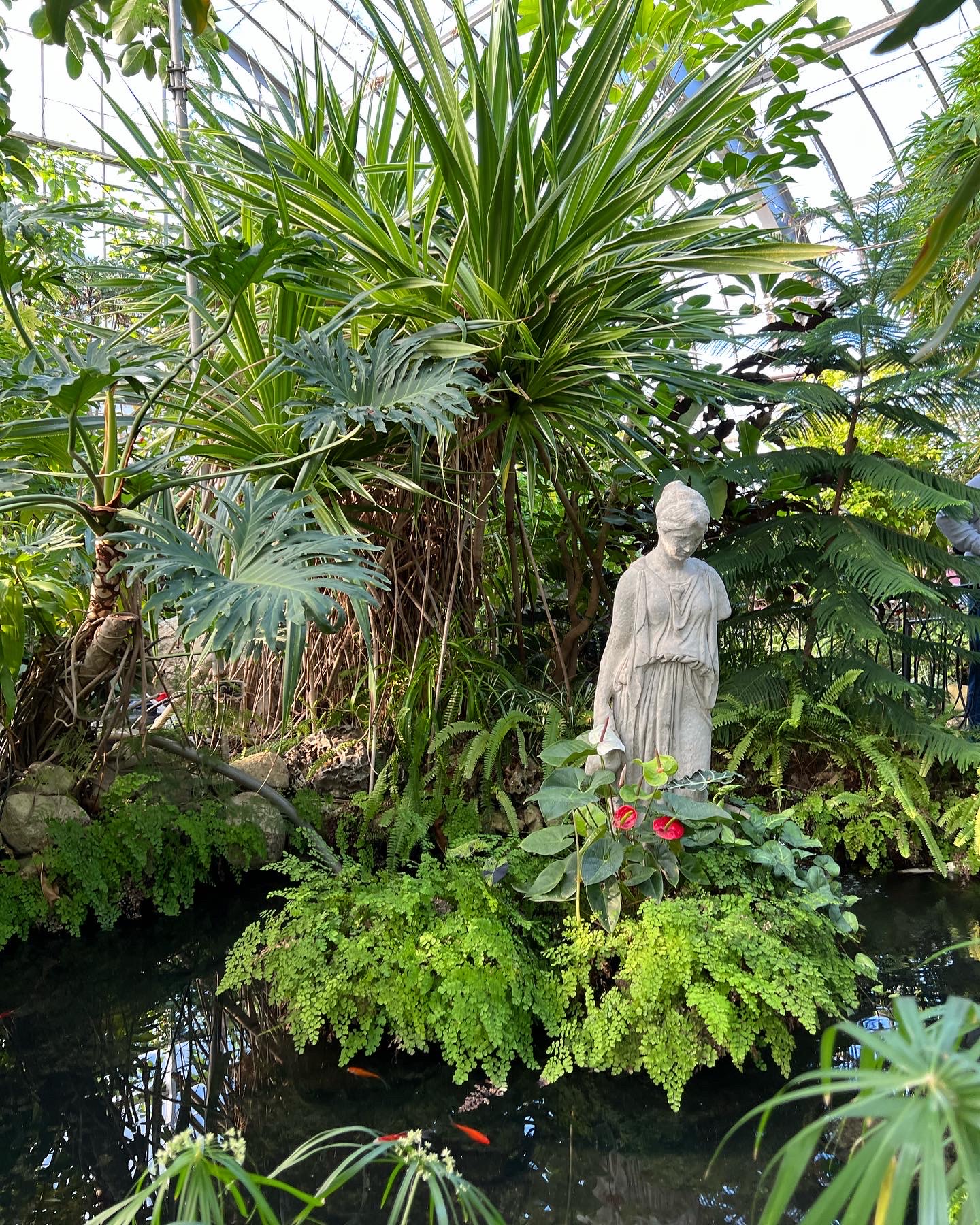 garden pond surrounded by tropical plants