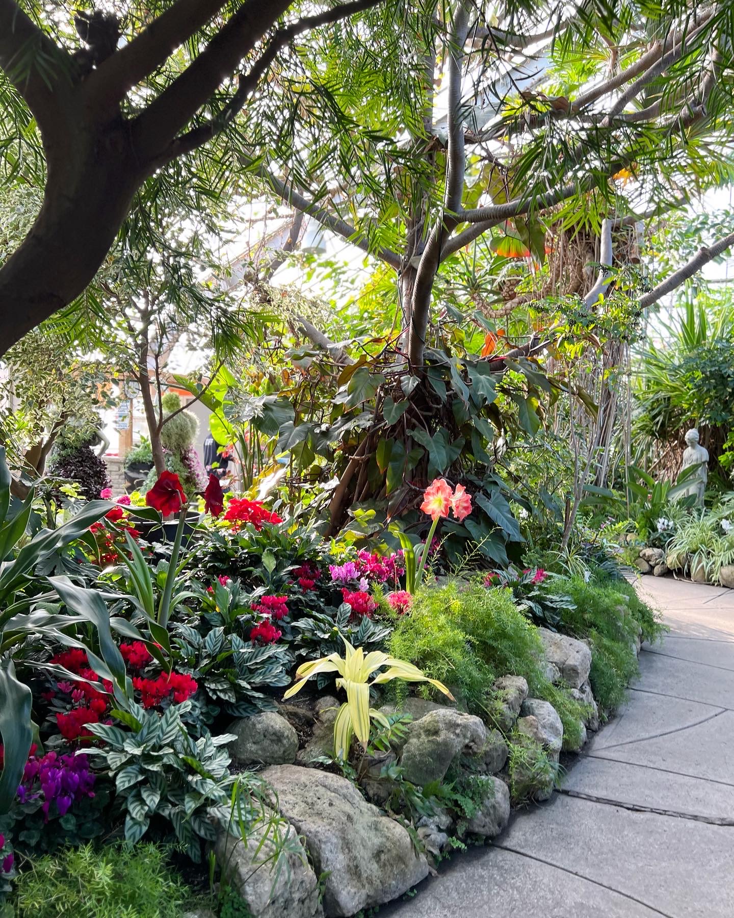 Jardín de invernadero con muchas flores y plantas tropicales.