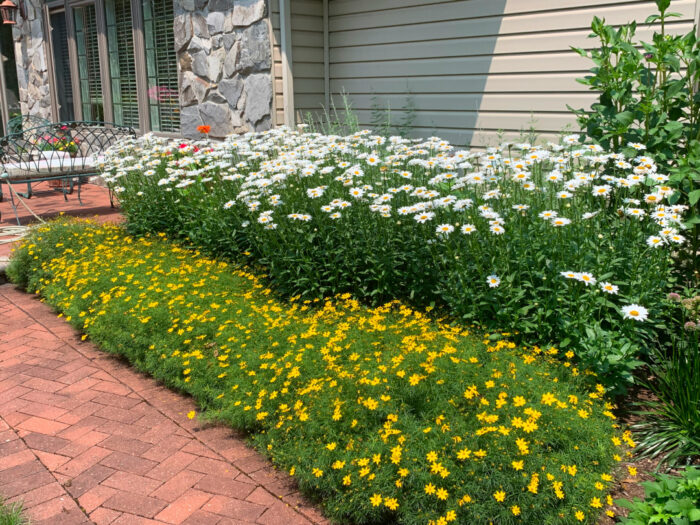 Pam’s Pennsylvania Garden - Fine Gardening