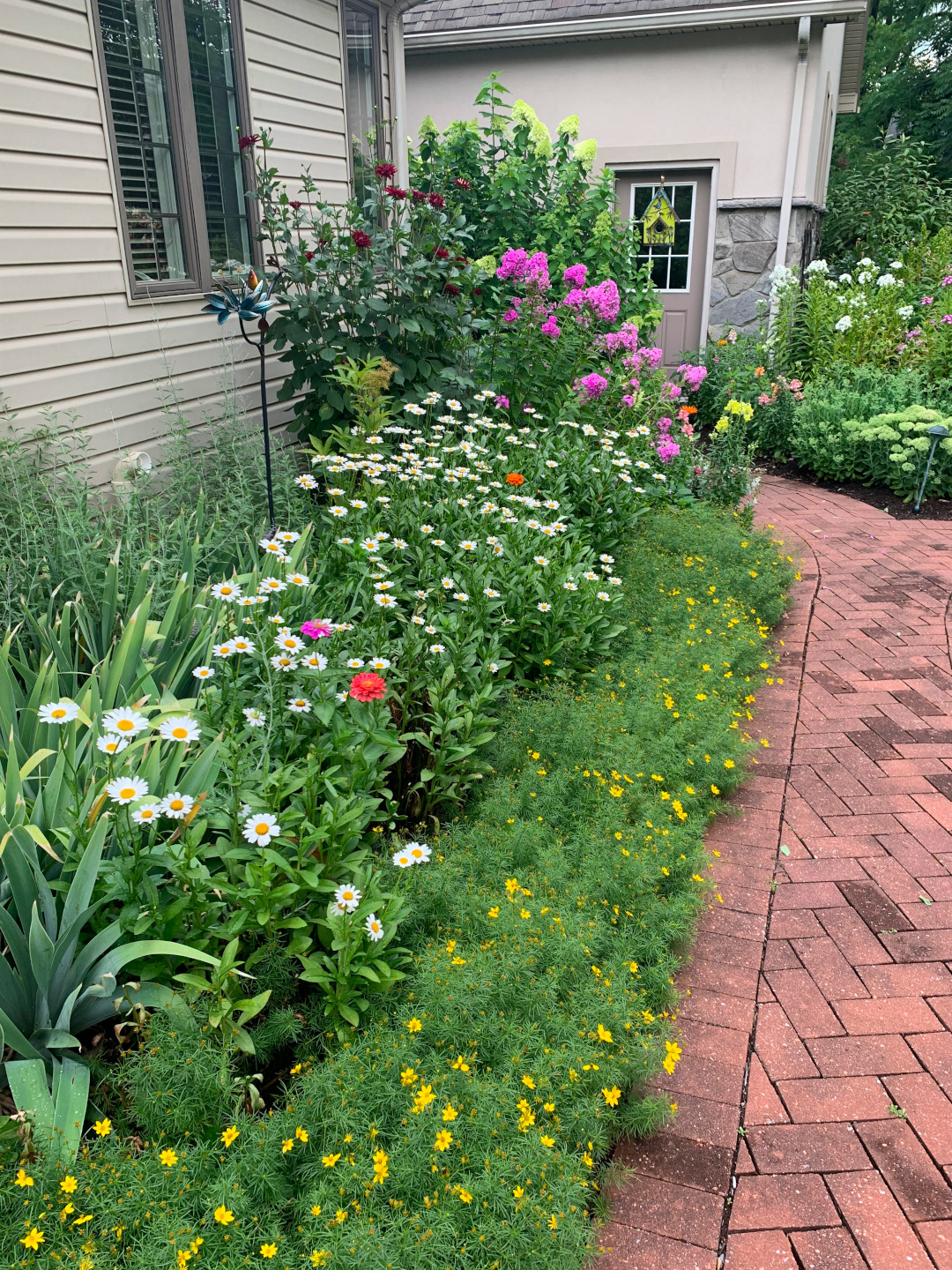 other flowers blooming with the white and yellow flowers