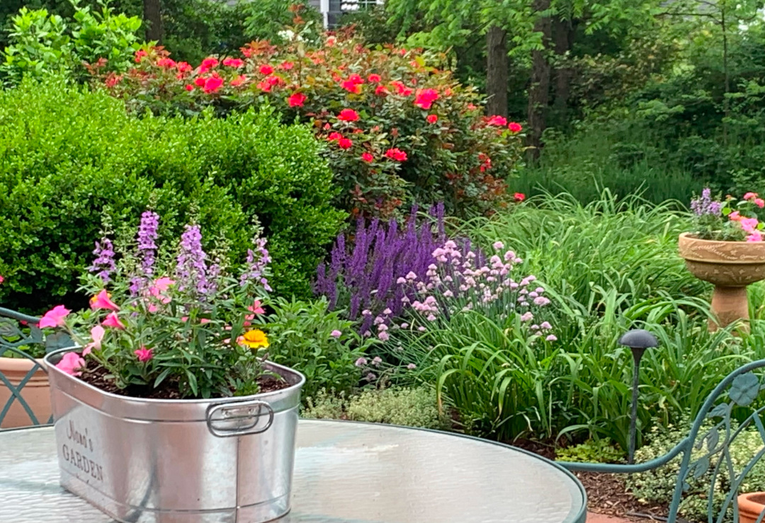 patio garden with container planting on table