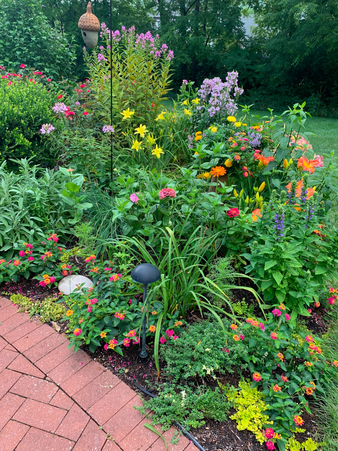 garden bed with a colorful mix of flowers