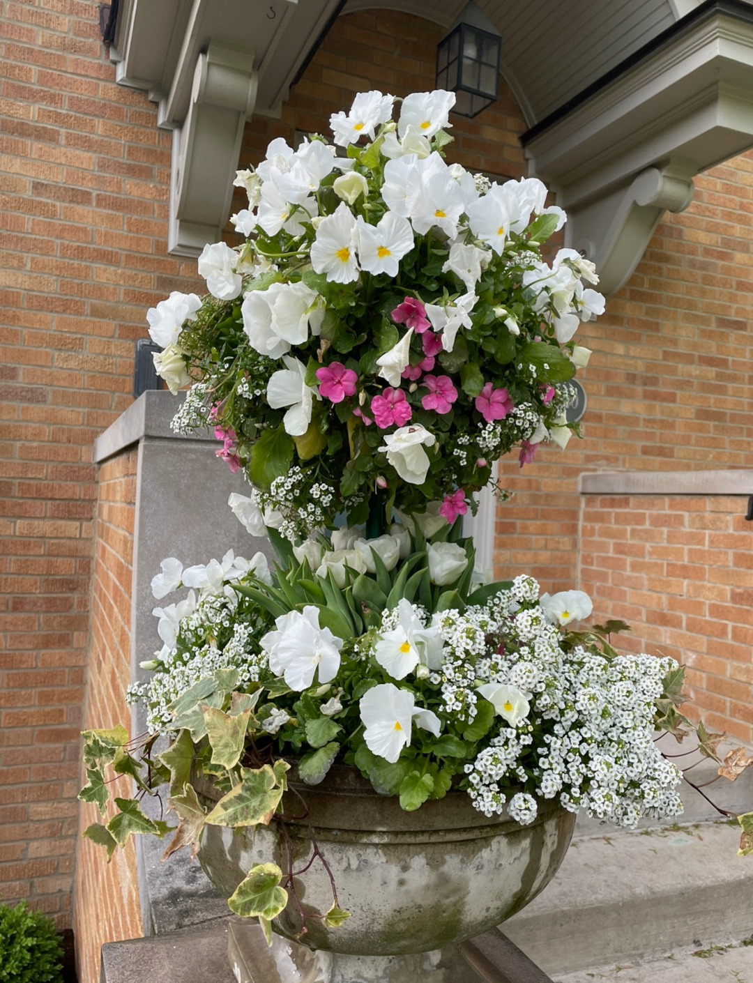 Recipiente con muchas flores blancas y un toque de rosa.