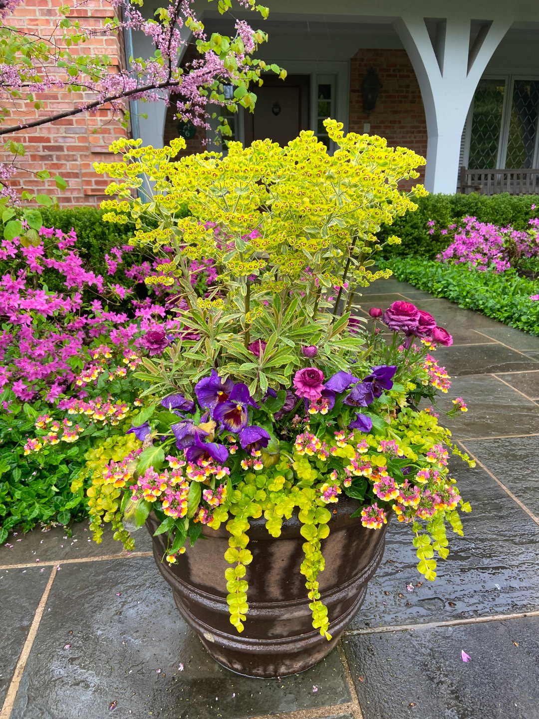 contenedor de primavera con flores y follaje brillantes