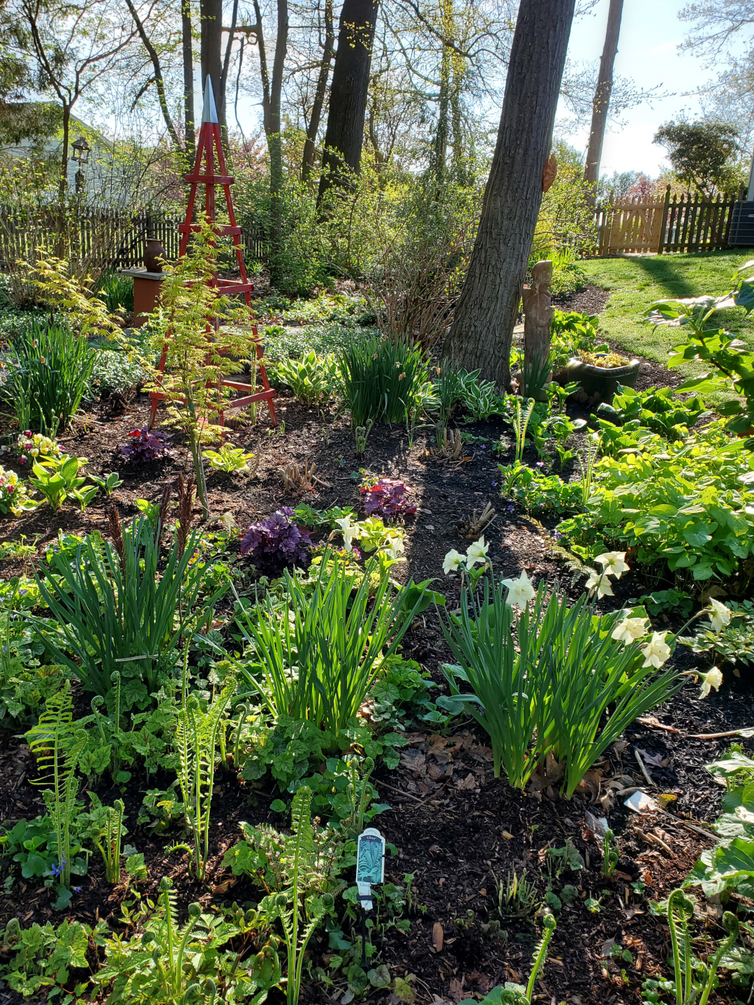 large garden bed with lots of plants beginning to bloom and grow