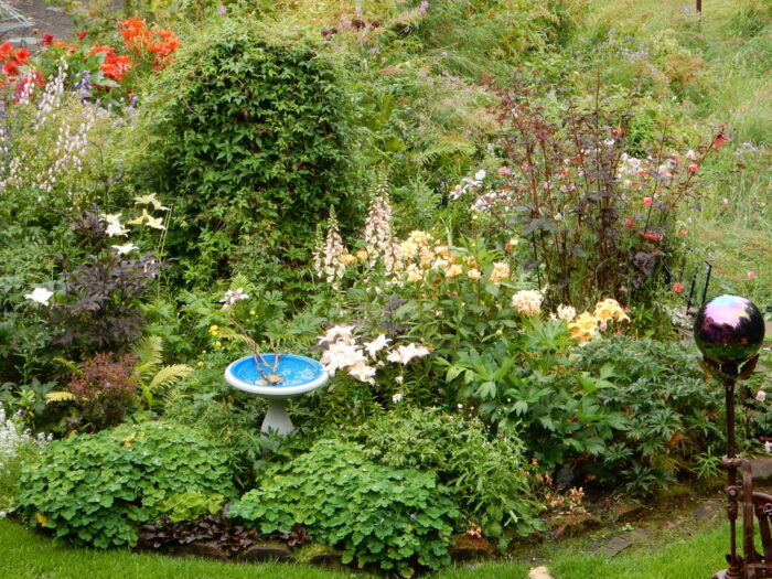 a lush garden bed with flowers and shrubs