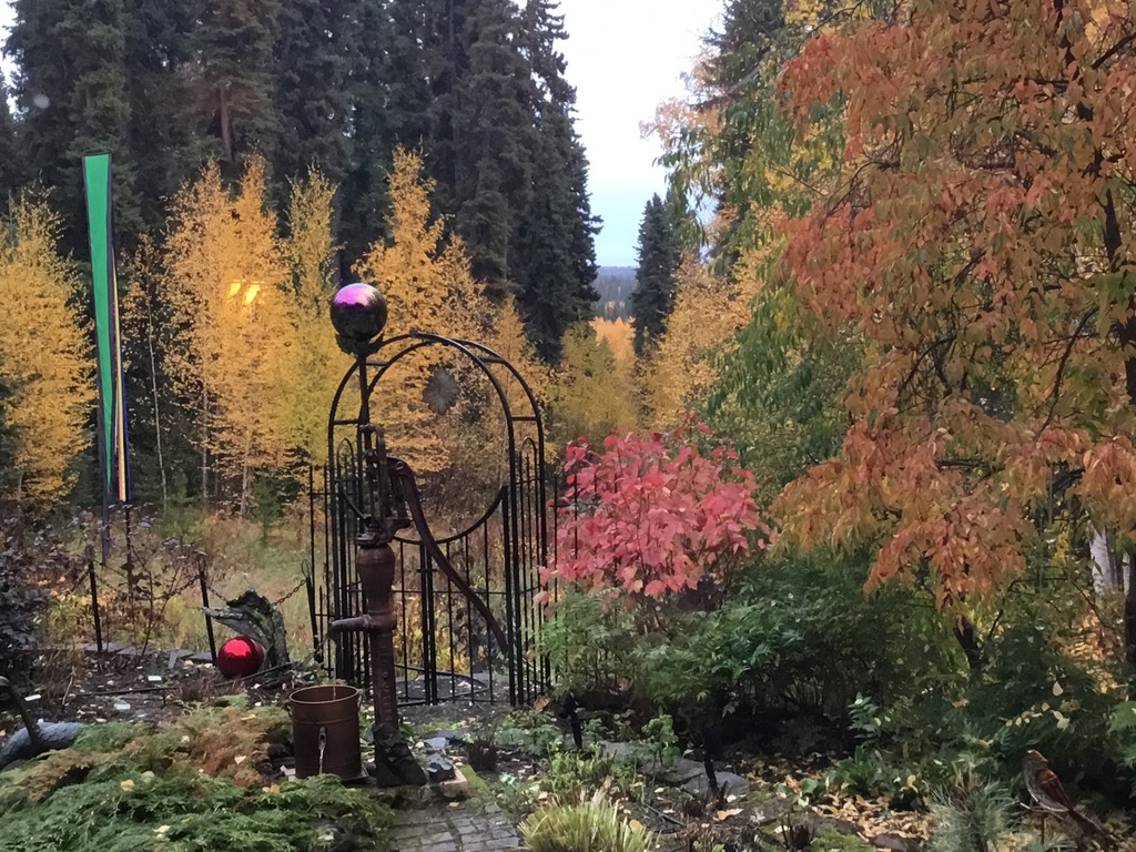 garden in fall with trees and shrubs with fall color