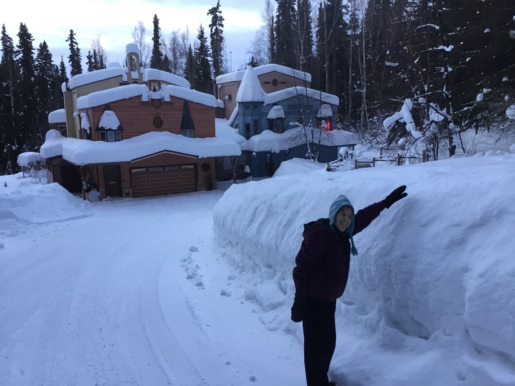 home and landscape covered in snow in winter