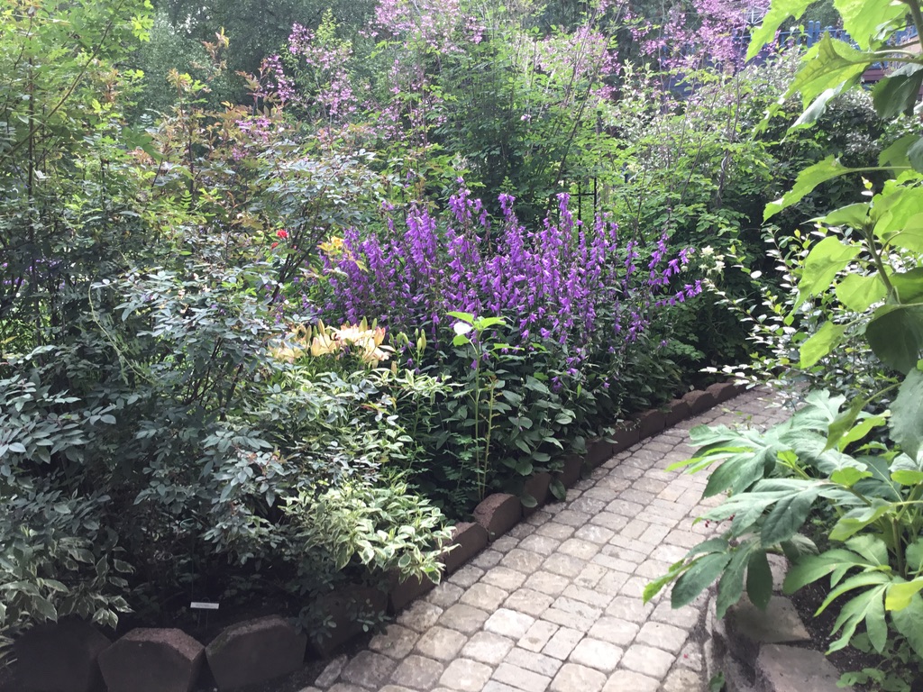 stone garden path cutting through densely planted garden beds