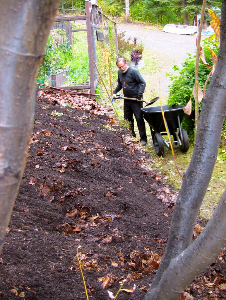 hand doing work in a new sloped garden bed