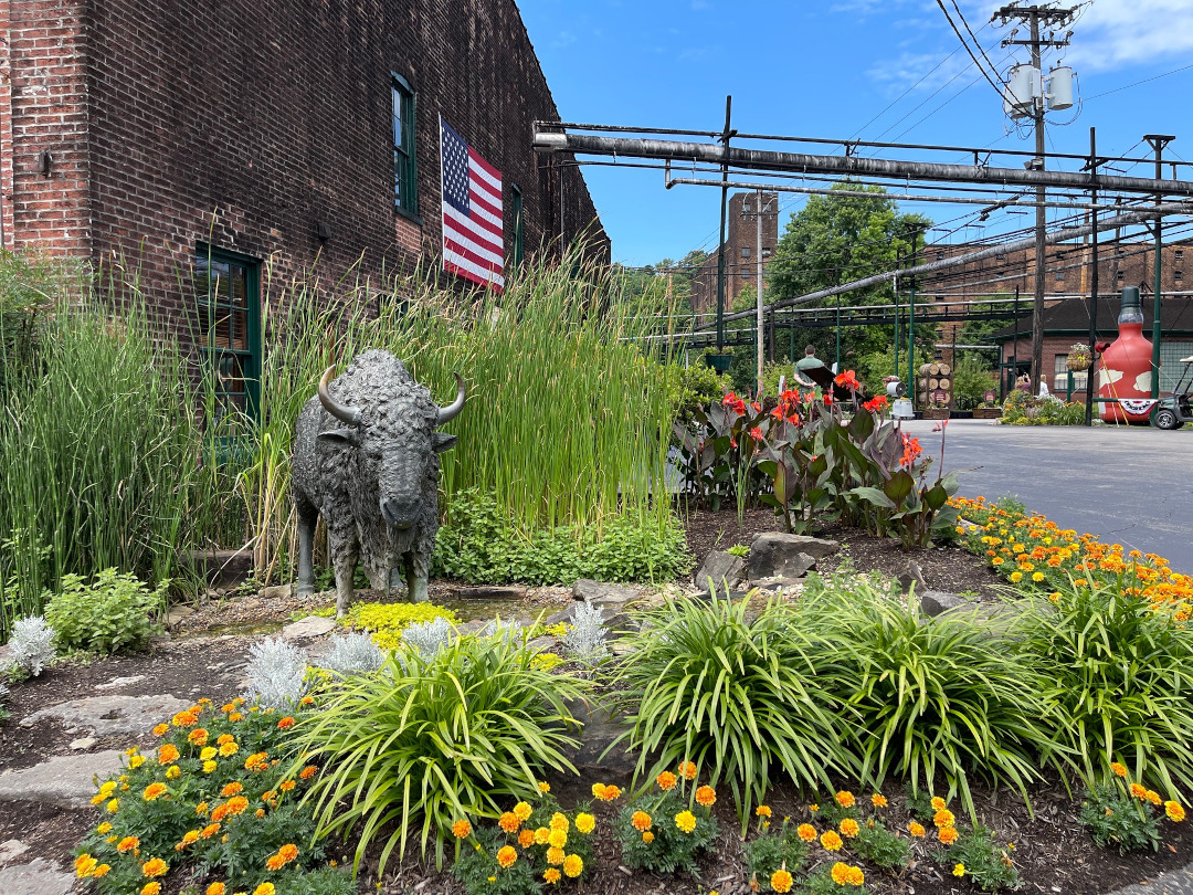 garden bed on side of building with various ornamental grasses and annual flowers with a bison statue