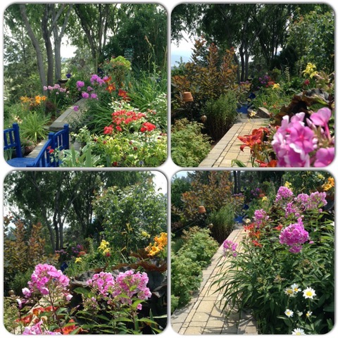 Collage de cuatro imágenes de diferentes flores a lo largo de un camino de jardín