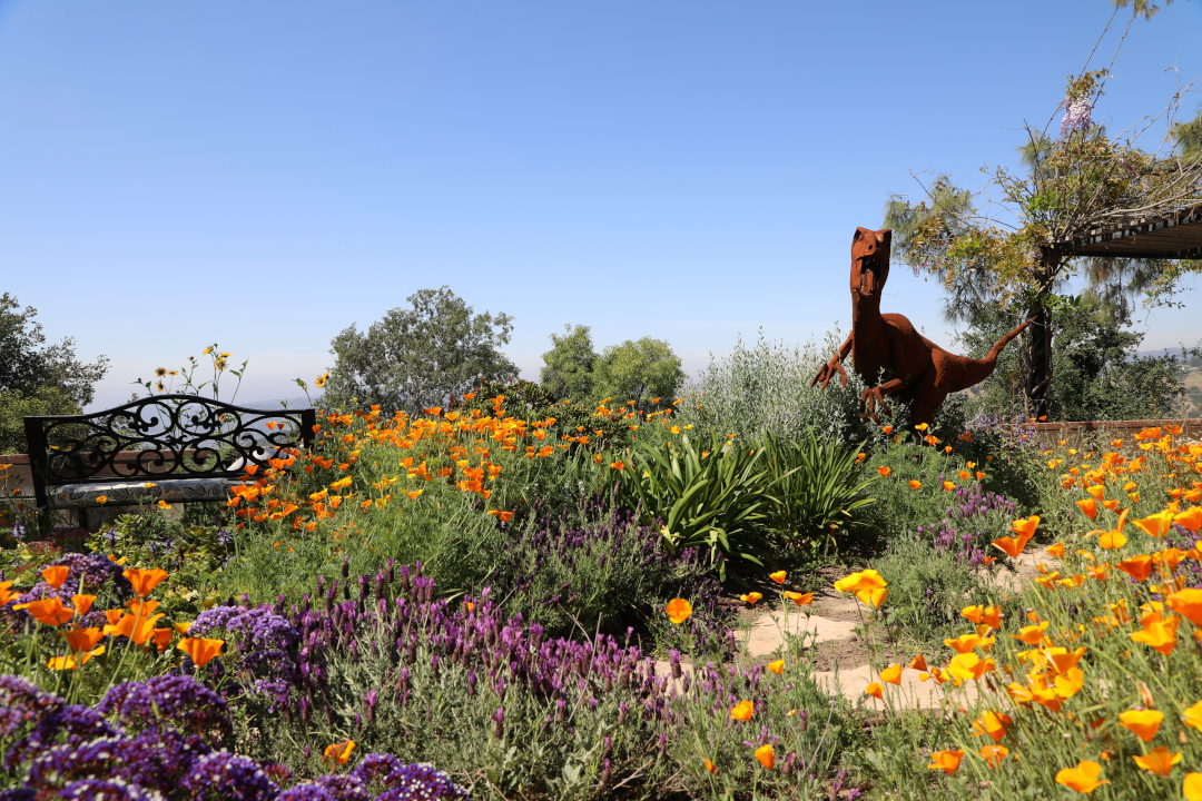 another view of dinosaur statue amongst orange poppies