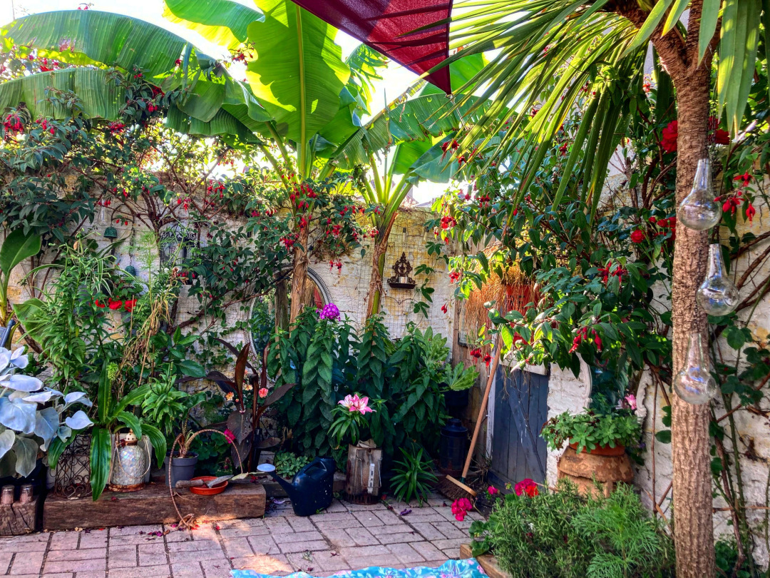 Patio después de la remodelación con muchas plantas tropicales.