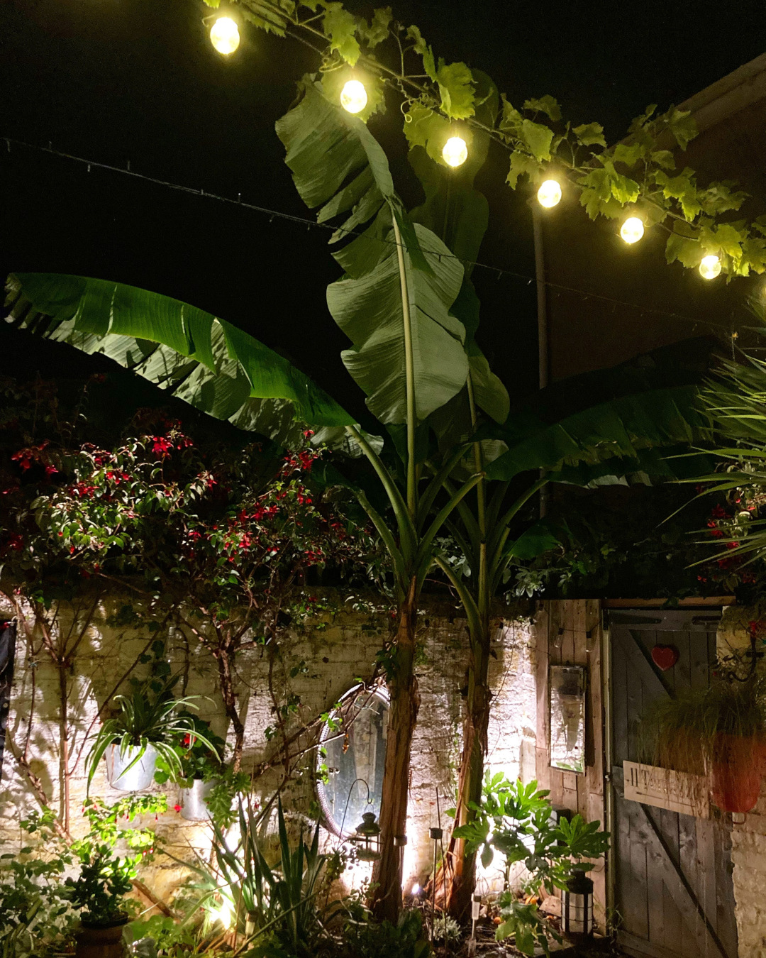 Jardín del patio iluminado con luces de jardín por la noche