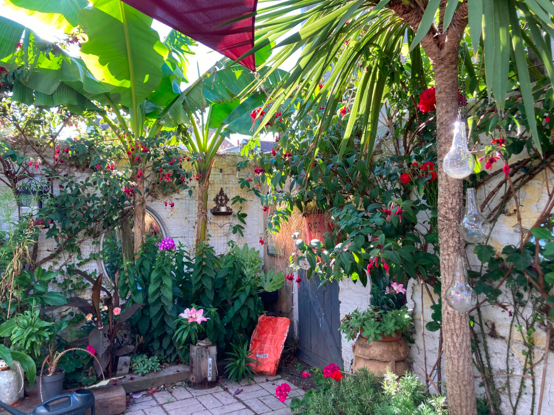 Jardín en el patio con plantas tropicales en flor