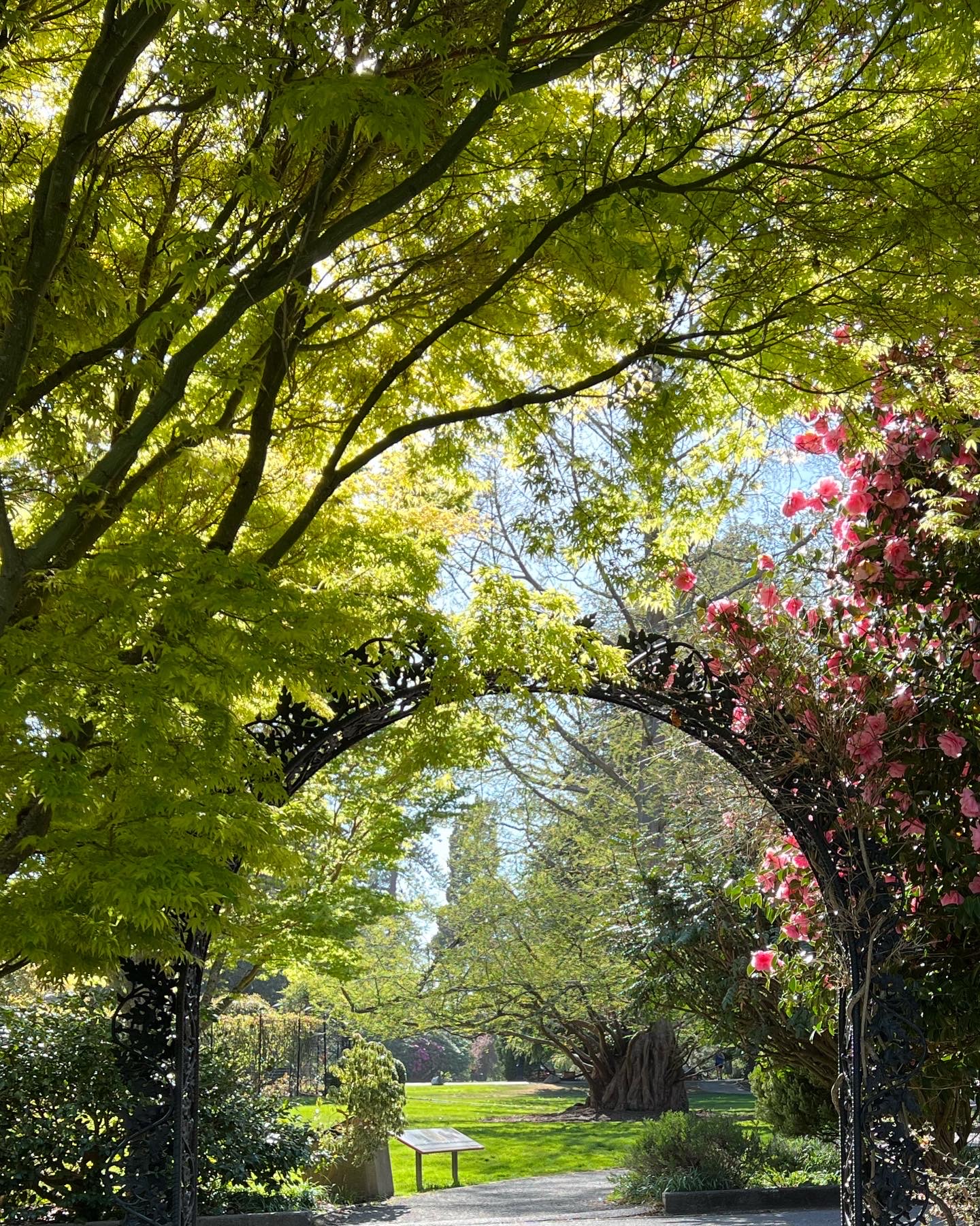 Vista del jardín a través del gran arco del jardín.