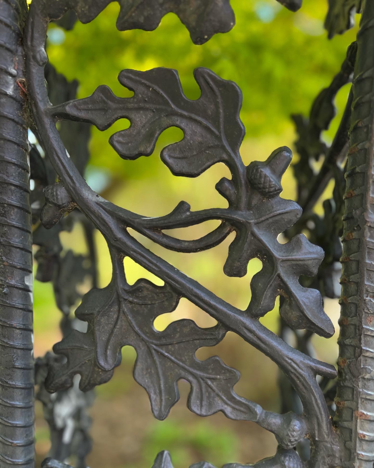 close up of leaf detail on metal garden gate