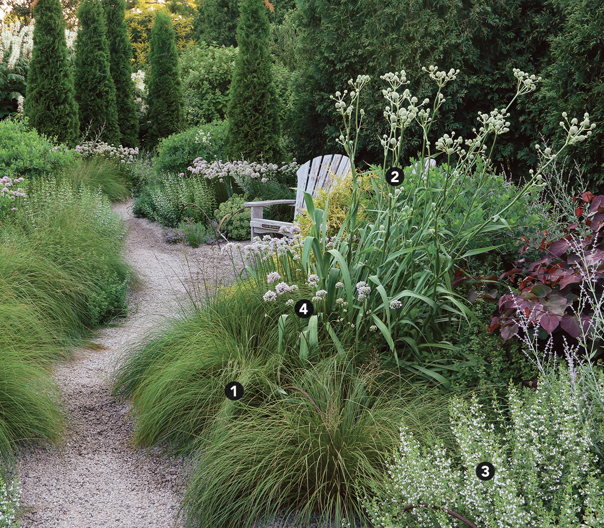 larger drought tolerant garden with lots of ornamental grass and arborvitaes