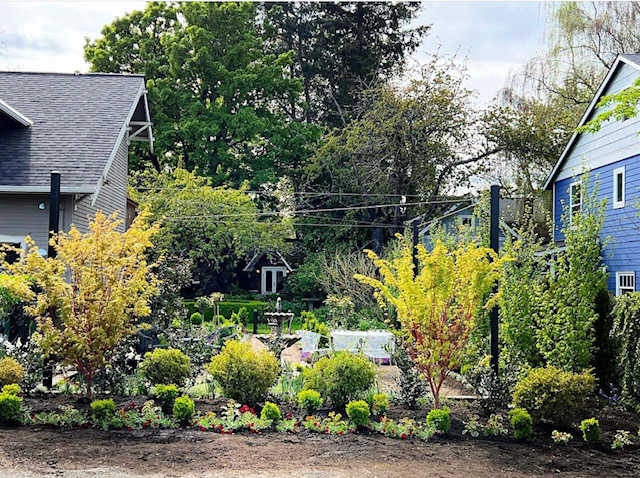 Vista de nuevas plantas alrededor del patio del jardín.