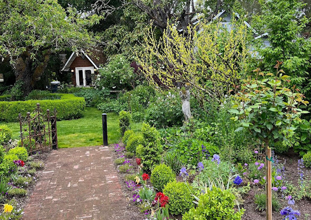 nuevas plantas pequeñas a lo largo de un camino de jardín de ladrillos