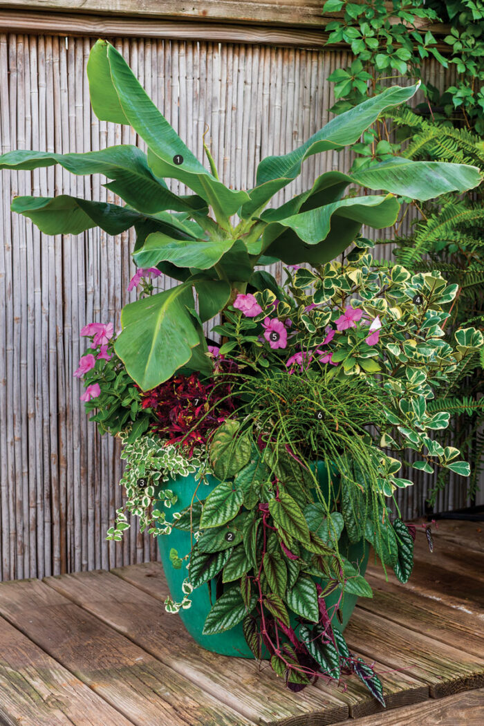 container with plants that have texture