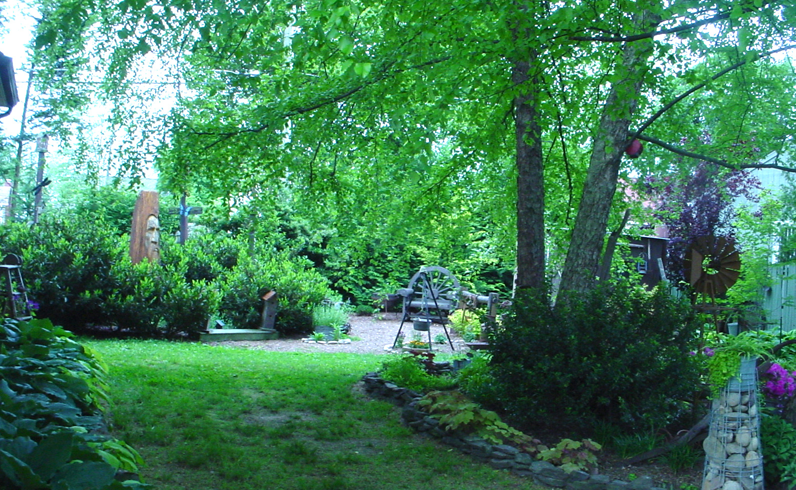 wide view of the garden with trees and lots of shrubs