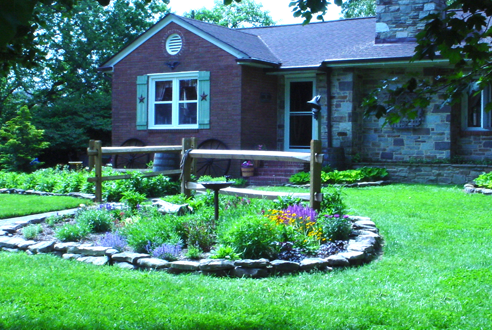 garden bed in the front yard starting to bloom