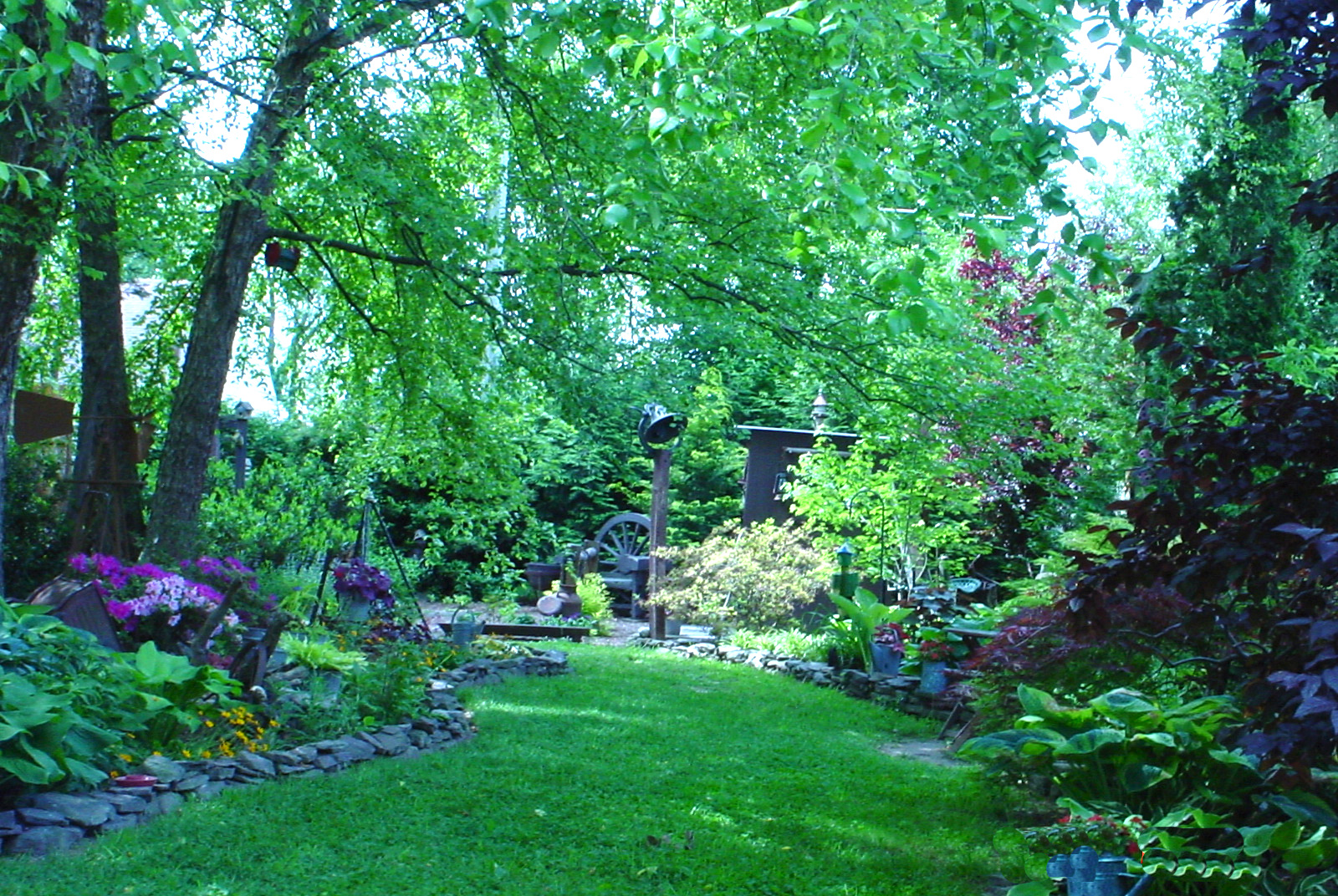 another wide view of the garden with more plants in bloom