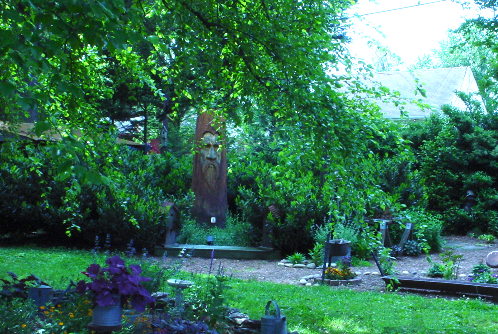 tree trunk carving garden art at the back of the garden