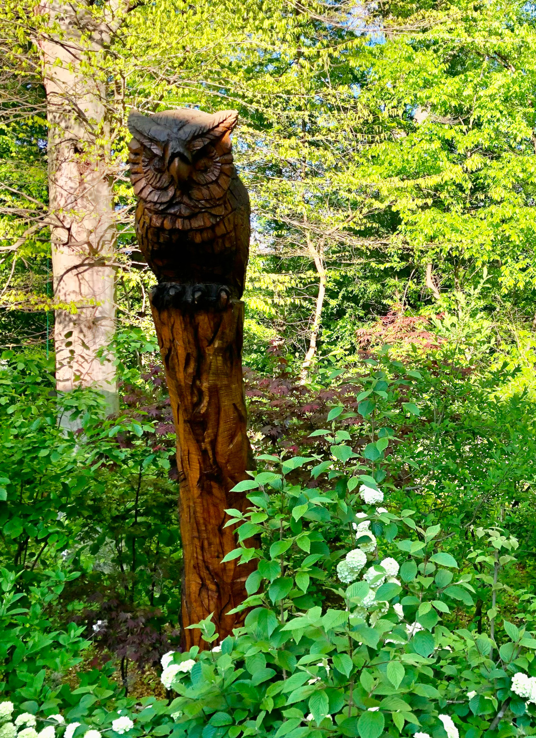 wood owl carving art