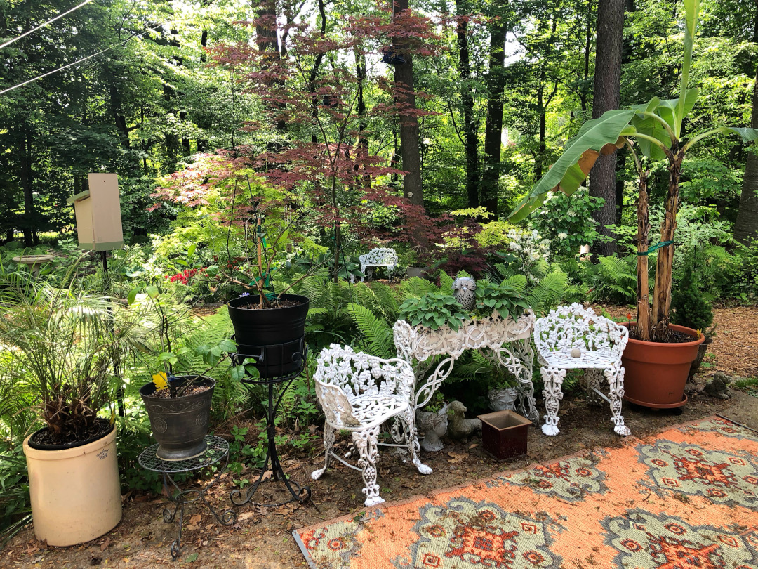 seating area in the garden surrounded by potted plants