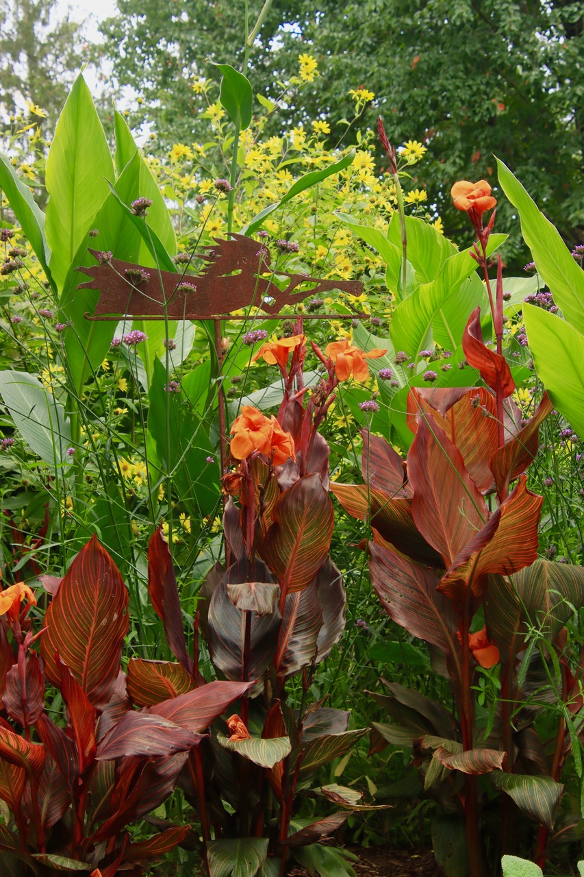 sunny perennial garden border with bright orange and yellow flowers