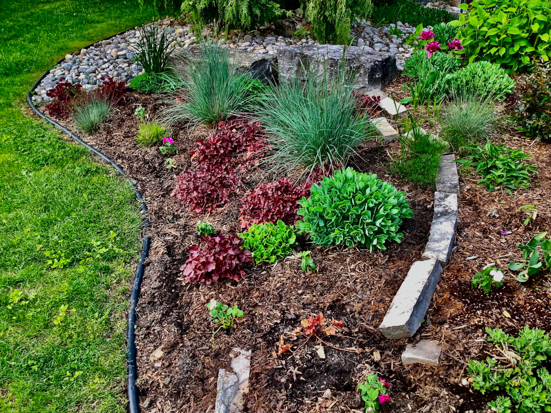 mulched garden bed