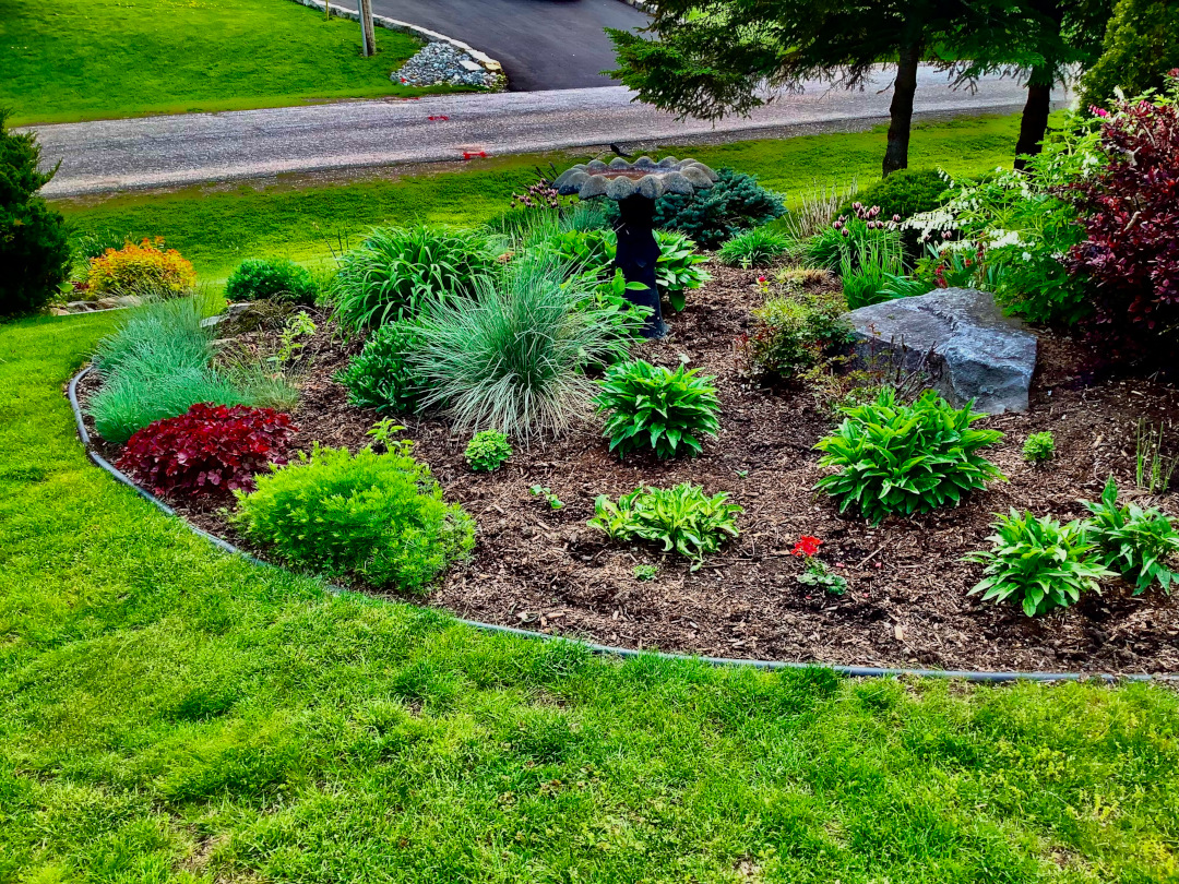 garden bed in front yard with birdbath