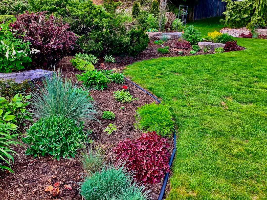 wider view of garden bed